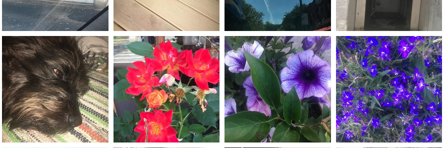 Coolgrove Art & Artists